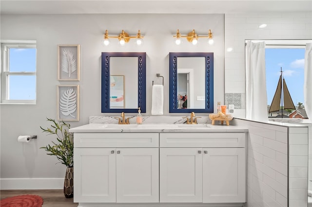 bathroom with wood-type flooring and vanity