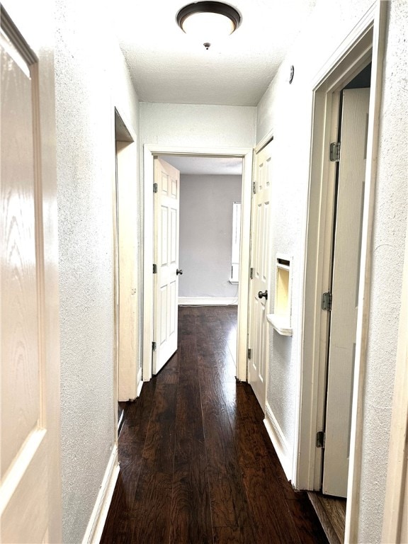 corridor featuring dark hardwood / wood-style flooring