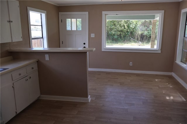 kitchen featuring white cabinetry, a healthy amount of sunlight, and dark hardwood / wood-style flooring