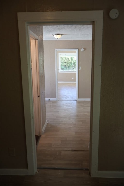 hallway featuring wood-type flooring and a textured ceiling