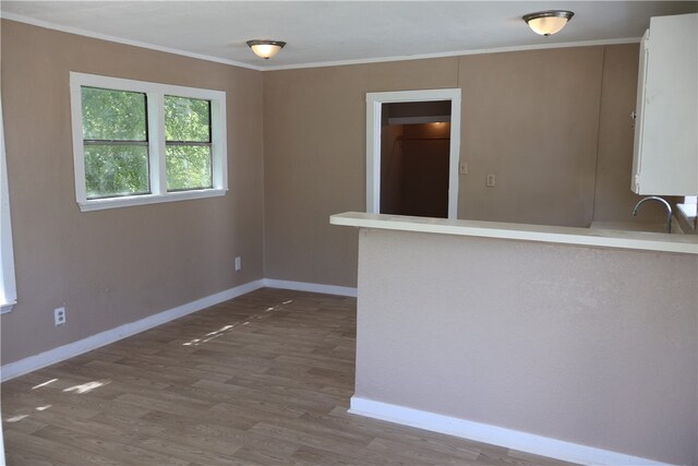 spare room featuring sink, wood-type flooring, and ornamental molding