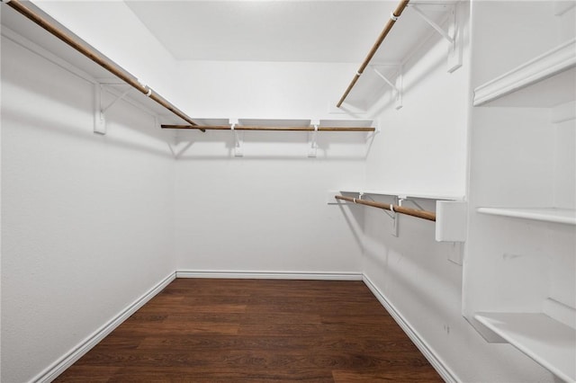 walk in closet featuring wood finished floors