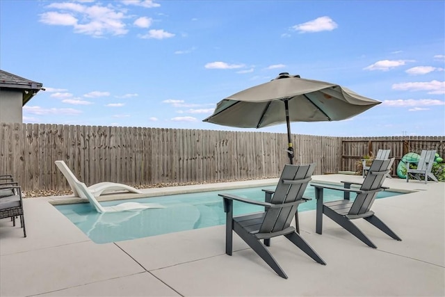view of pool featuring a patio area, a fenced backyard, and a fenced in pool