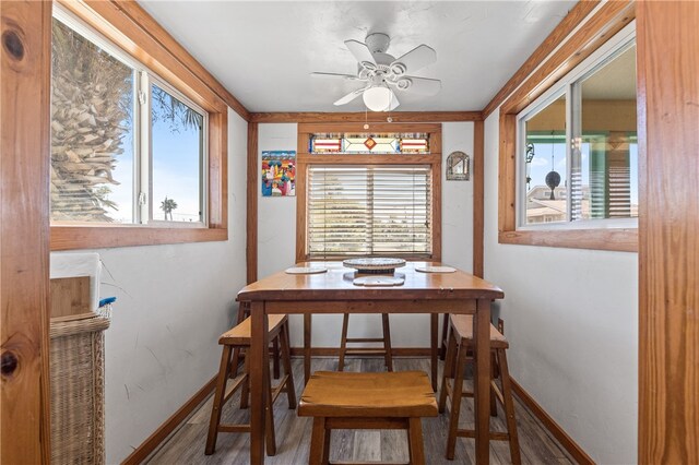 dining space featuring wood-type flooring and ceiling fan