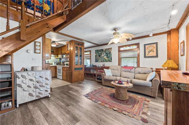 living room with light hardwood / wood-style floors, ornamental molding, ceiling fan, rail lighting, and a textured ceiling