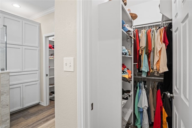 spacious closet with hardwood / wood-style flooring