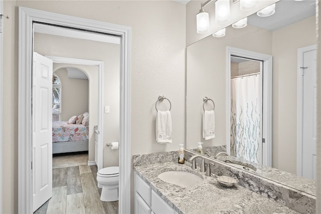 bathroom featuring wood-type flooring, toilet, and vanity