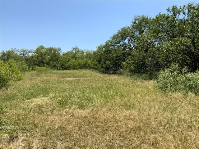 Address Not Disclosed, Sinton TX, 78387 land for sale