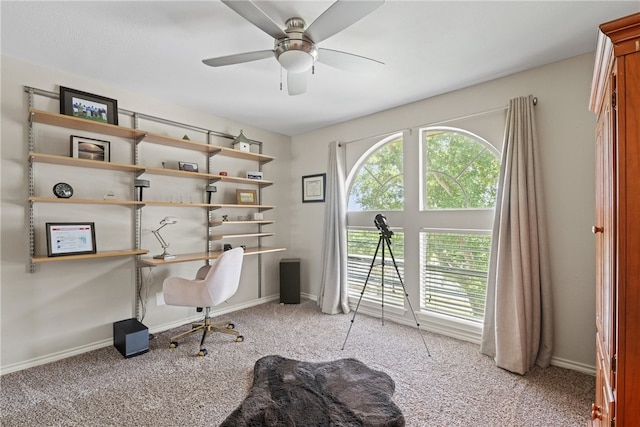 4658 Oso Pkwy, Corpus Christi, TX 78413 - office space with carpet floors and ceiling fan