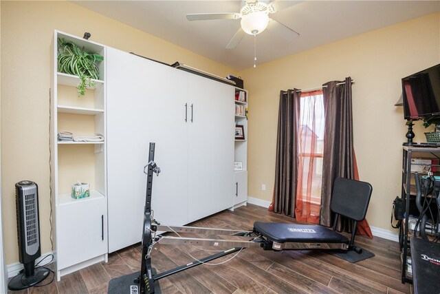 exercise room with ceiling fan and dark hardwood / wood-style flooring