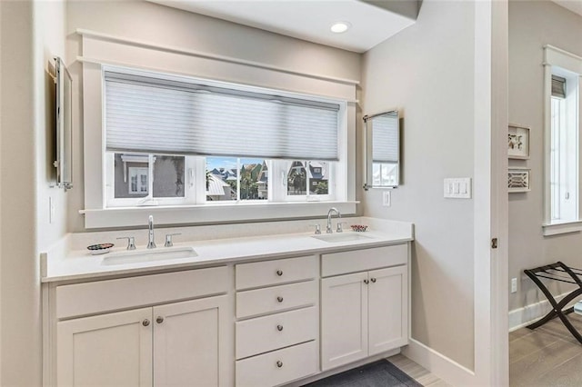 bathroom with wood-type flooring and vanity