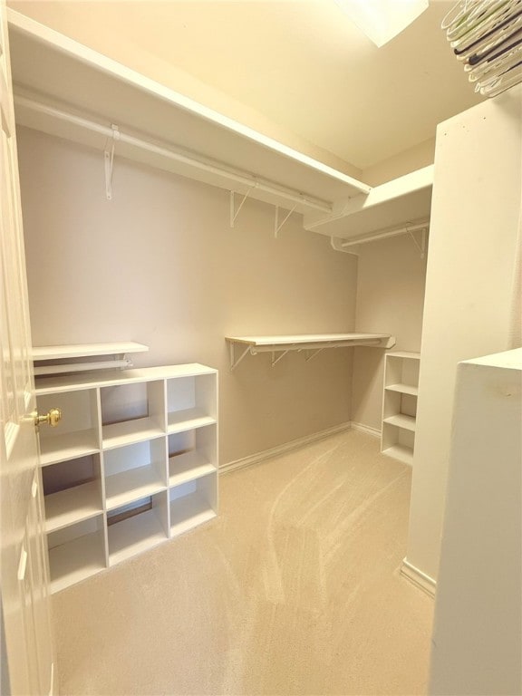 walk in closet featuring carpet