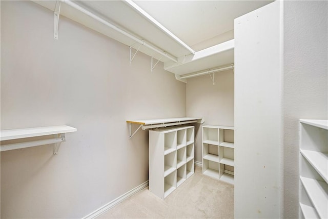 14825 Dasmarinas Dr, Corpus Christi, TX 78418 - walk in closet featuring carpet