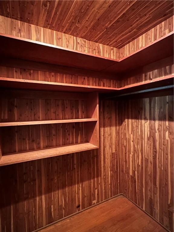 walk in closet with hardwood / wood-style flooring