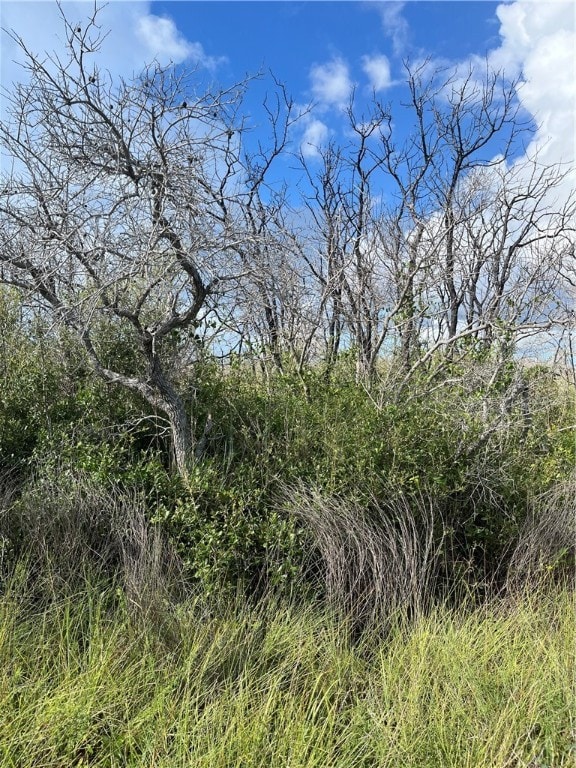 0 N 9th St, Aransas Pass TX, 78336 land for sale