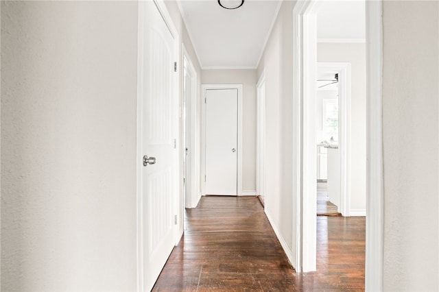1367 Normandy Dr, Corpus Christi, TX 78415 - corridor with dark wood-type flooring, ornamental molding, and baseboards