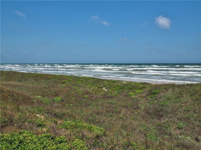 view of water feature featuring a view of the beach