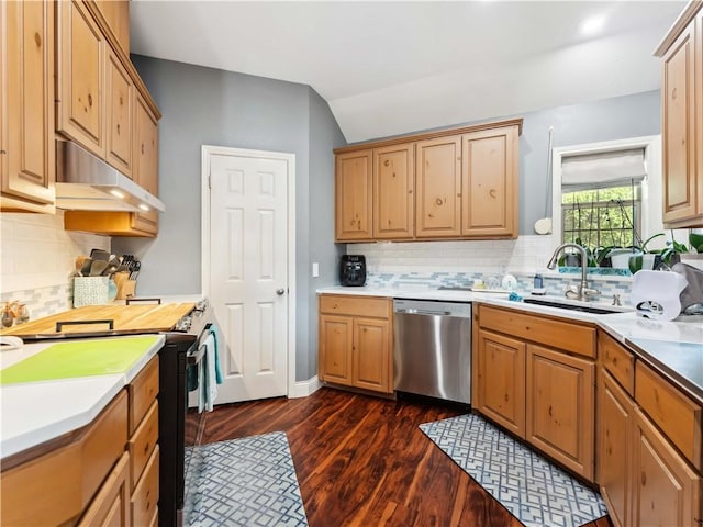 5422 Pressler Dr, Corpus Christi, TX 78413 - kitchen featuring dark wood-style floors, black electric range, under cabinet range hood, stainless steel dishwasher, and a sink
