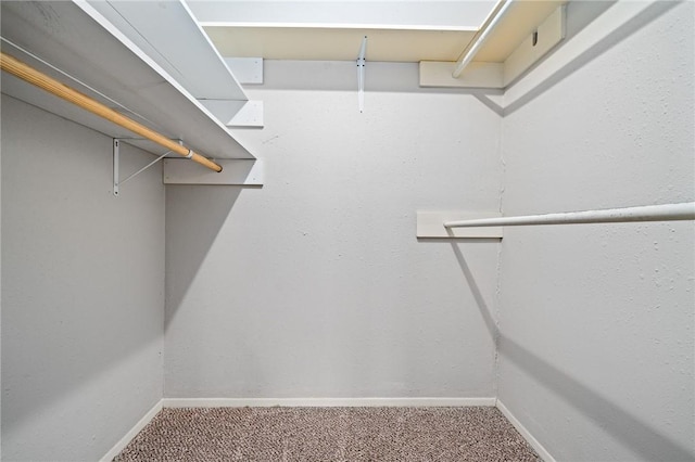 spacious closet with carpet flooring