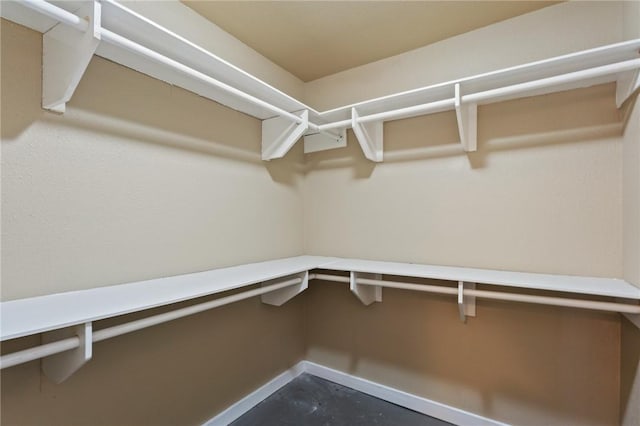 view of walk in closet