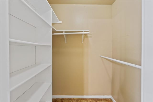 view of walk in closet