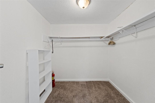 2853 Lawnview St, Corpus Christi, TX 78404 - walk in closet featuring carpet floors