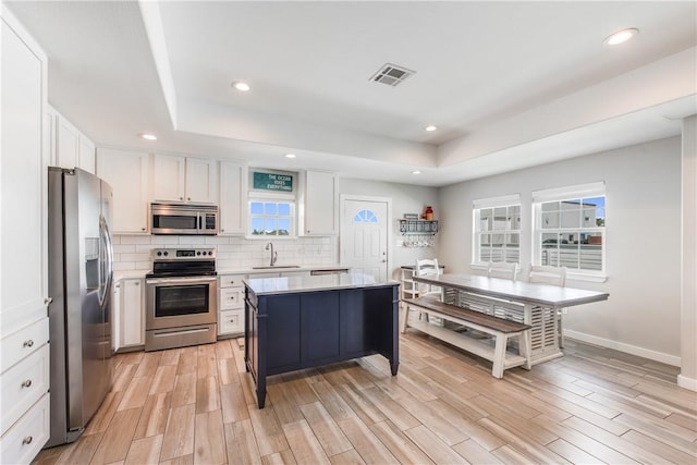 kitchen featuring white cabinetry, a center island, a tray ceiling, stainless steel appliances, and backsplash