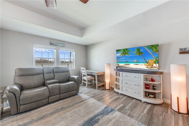 living room featuring a raised ceiling and light hardwood / wood-style flooring