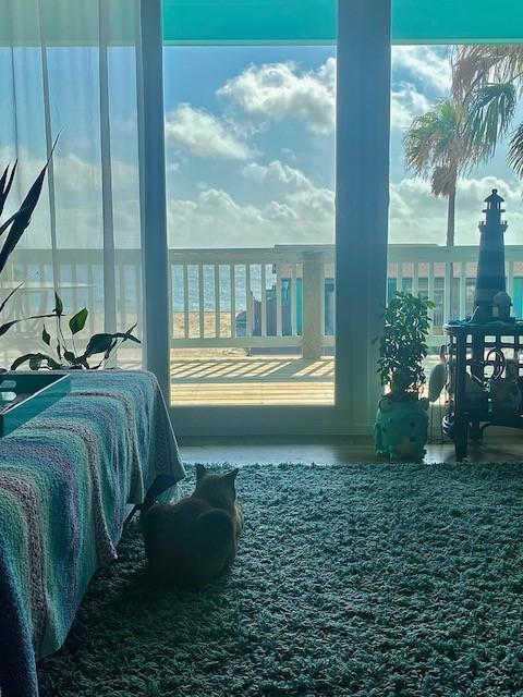 1811 Bay Shore Dr, Rockport, TX 78382 - view of bedroom