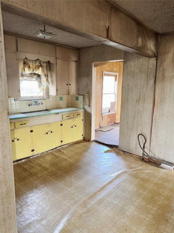 kitchen with light countertops, plenty of natural light, and light floors