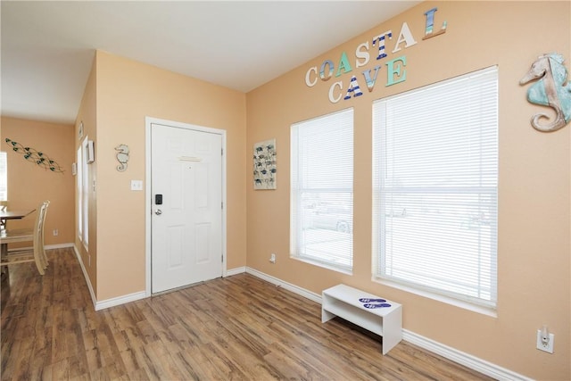 112 Tropical Breeze Ln, Aransas Pass, TX 78336 - entrance foyer with wood finished floors and healthy amount of natural light