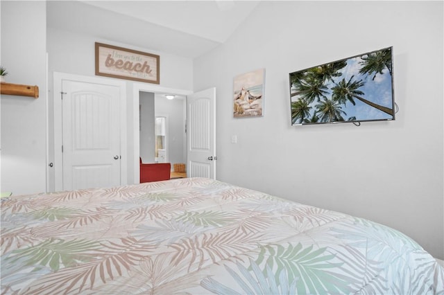 bedroom with a closet and vaulted ceiling