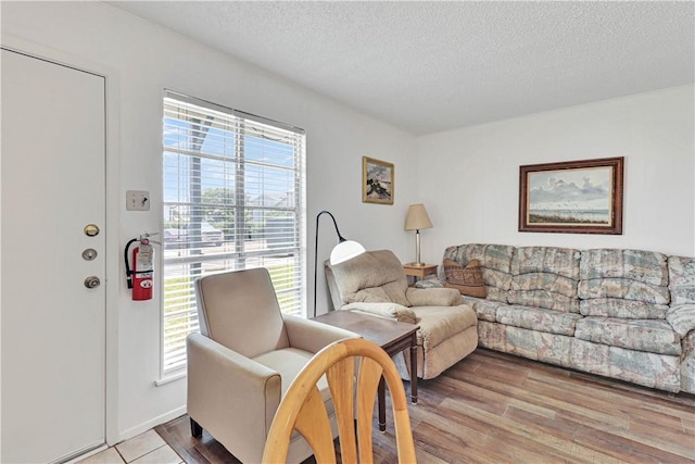 living room with a textured ceiling