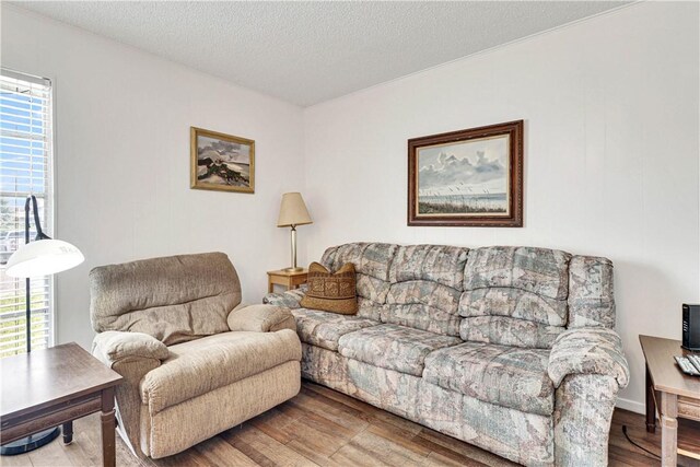 living room featuring hardwood / wood-style floors and a textured ceiling