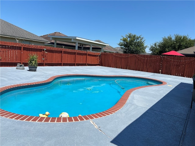 view of swimming pool with a patio area