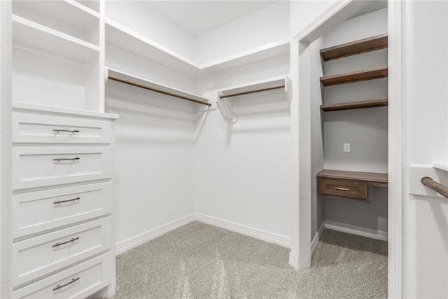 14013 Hawksnest Bay Dr, Corpus Christi, TX 78418 - spacious closet with light colored carpet