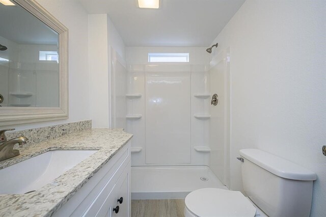 bathroom with toilet, a healthy amount of sunlight, a shower, and vanity