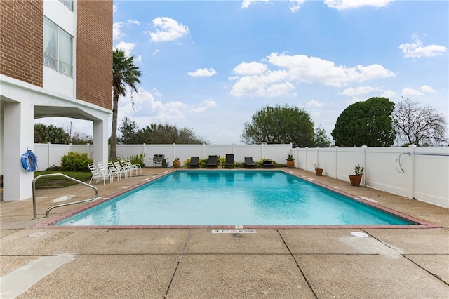 view of swimming pool with a patio