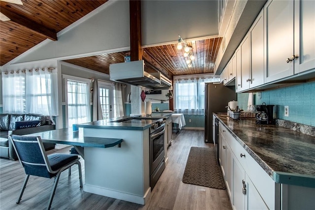 938 E Lakeside Dr, Corpus Christi, TX 78418 - kitchen with wooden ceiling, appliances with stainless steel finishes, dark countertops, light wood-style floors, and ventilation hood