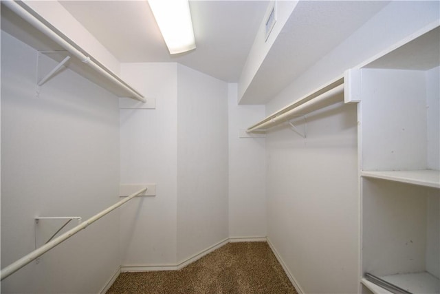 spacious closet featuring carpet and visible vents