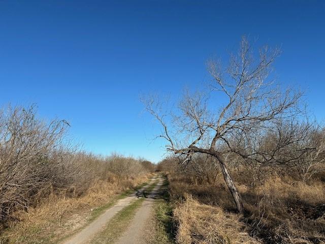 LOT110/111 Guerra St, Alice TX, 78332 land for sale