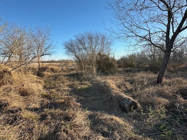 Listing photo 3 for LOT110/111 Guerra St, Alice TX 78332