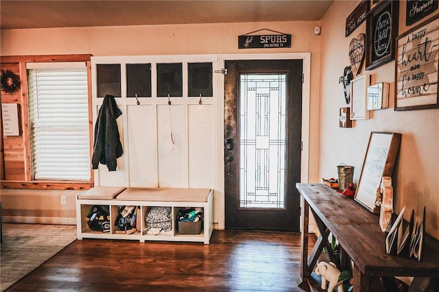 mudroom featuring dark hardwood / wood-style floors