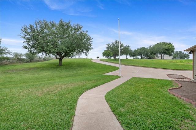 view of community featuring a yard