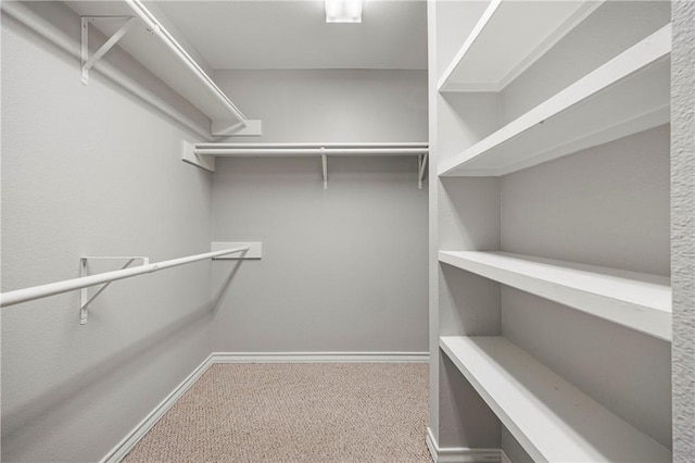 walk in closet featuring carpet floors