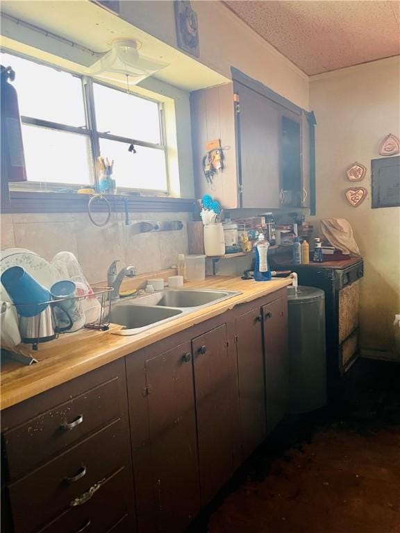 kitchen featuring sink and dark brown cabinets