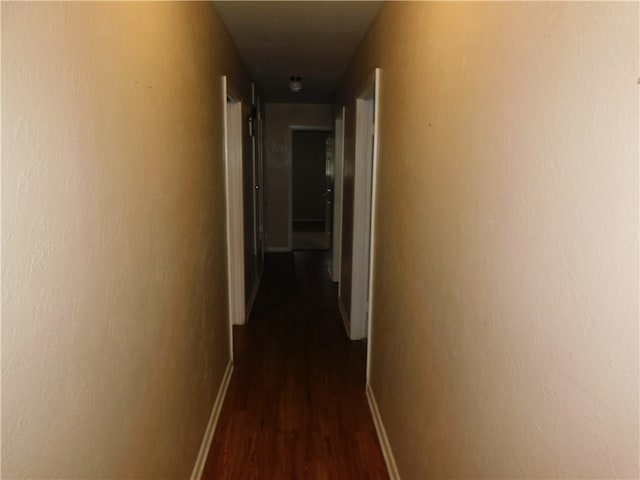hallway featuring dark hardwood / wood-style floors