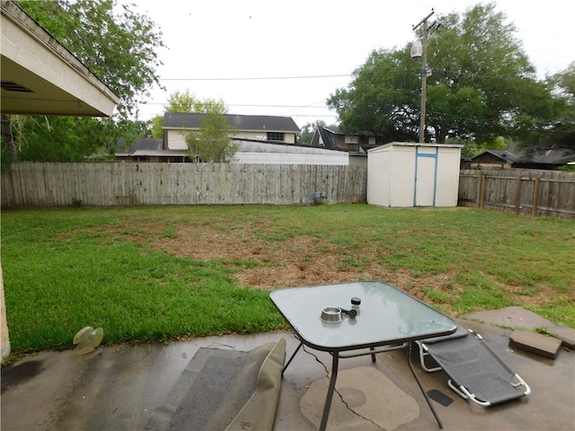 view of yard featuring a patio and a storage shed