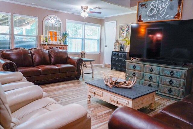 1508 Roosevelt Dr, Alice, TX 78332 - living area with ornamental molding, ceiling fan, and light wood-type flooring