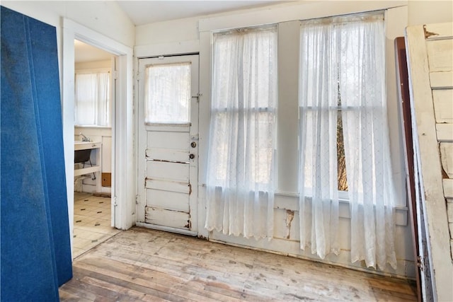 entryway featuring wood-type flooring